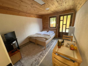 Small house Floki Žabljak